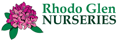 rhodo glen nurseries