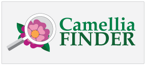 camellia finder